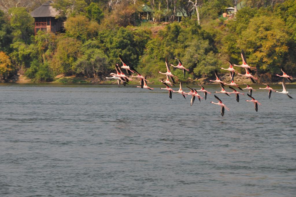 The River Club Livingstone Luaran gambar